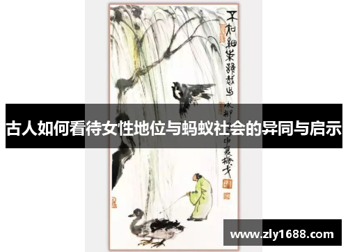古人如何看待女性地位与蚂蚁社会的异同与启示