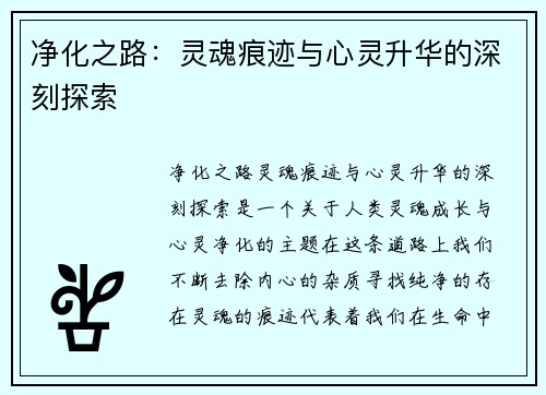 净化之路:灵魂痕迹与心灵升华的深刻探索 净化之路:灵魂痕迹与心灵升华的深刻探索